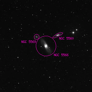 DSS image of NGC 5566