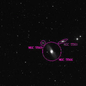 DSS image of NGC 5569