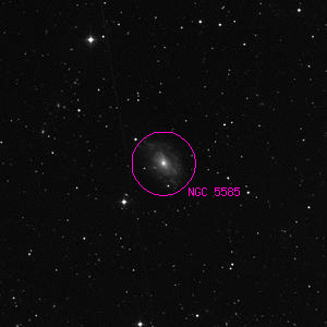 DSS image of NGC 5585