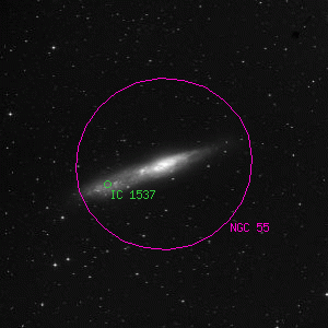 DSS image of NGC 55