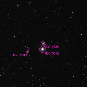 DSS image of NGC 5636