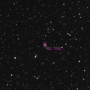 DSS image of NGC 7022
