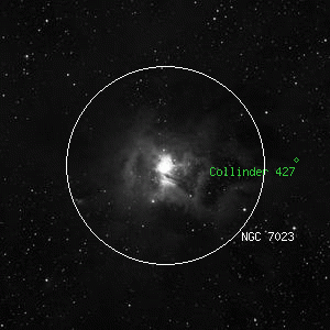 DSS image of NGC 7023