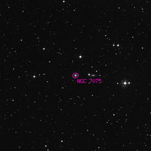 DSS image of NGC 7075