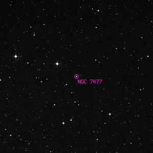 DSS image of NGC 7077