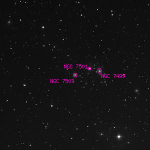 DSS image of NGC 7503