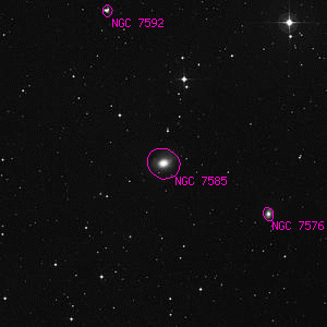 DSS image of NGC 7585