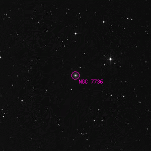 DSS image of NGC 7736