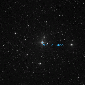 DSS image of Nu2 Columbae