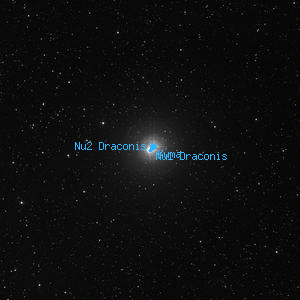 DSS image of Nu2 Draconis