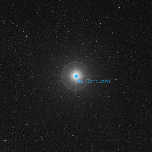 DSS image of Nu Ophiuchi