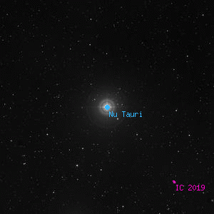 DSS image of Nu Tauri