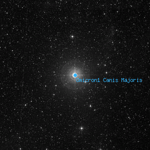 DSS image of Omicron1 Canis Majoris