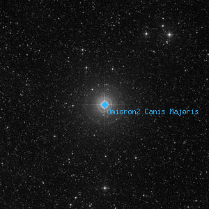 DSS image of Omicron2 Canis Majoris
