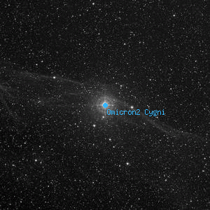 DSS image of Omicron2 Cygni