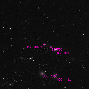 DSS image of PGC 40736