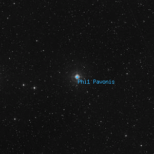 DSS image of Phi1 Pavonis