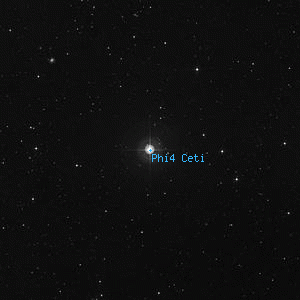 DSS image of Phi4 Ceti