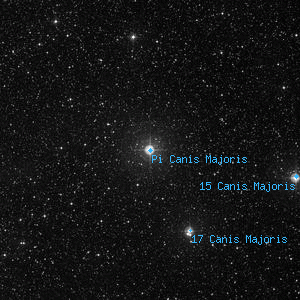 DSS image of Pi Canis Majoris