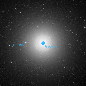 DSS image of Procyon