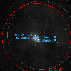 DSS image of Rho Ophiuchi C