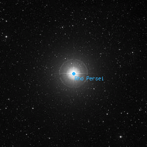 DSS image of Rho Persei