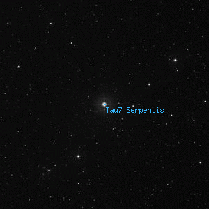 DSS image of Tau7 Serpentis