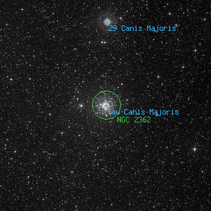 DSS image of Tau Canis Majoris