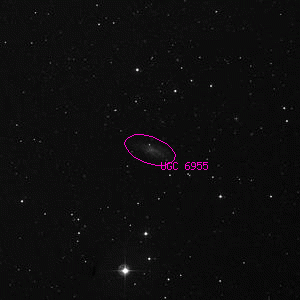 DSS image of UGC 6955