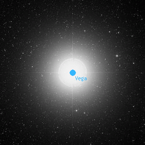 DSS image of Vega