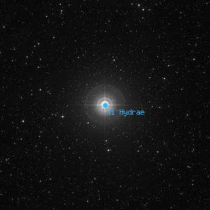 DSS image of Xi Hydrae