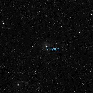 DSS image of Y Tauri