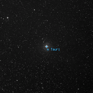 DSS image of m Tauri