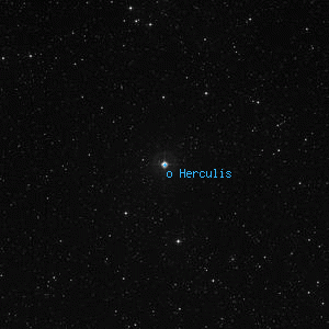 DSS image of o Herculis