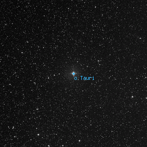 DSS image of o Tauri