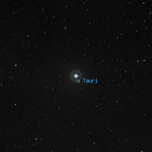 DSS image of u Tauri